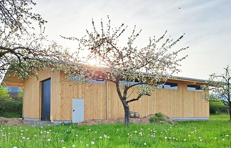 BIENENMARTINS IMKEREI  I LAGERHALLE